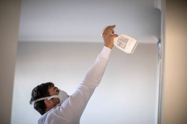 Best Mold Remediation Experts  in Buckeystown, MD