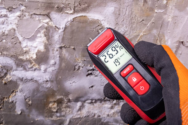 Best Best Mold Removal Companies  in Buckeystown, MD