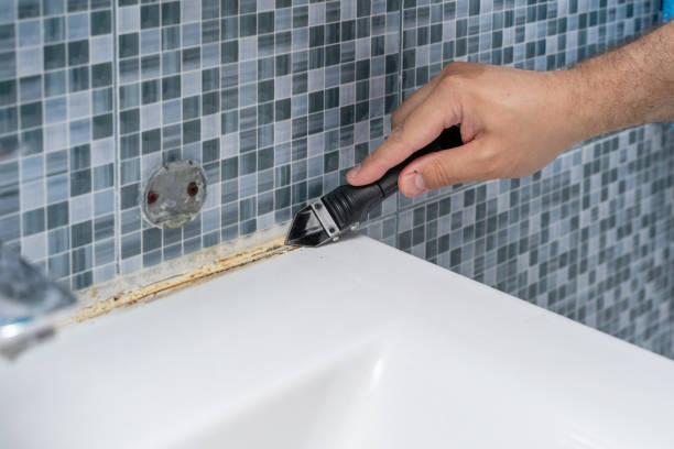 Best Black Mold Removal  in Buckeystown, MD